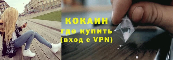 МДПВ Гусев