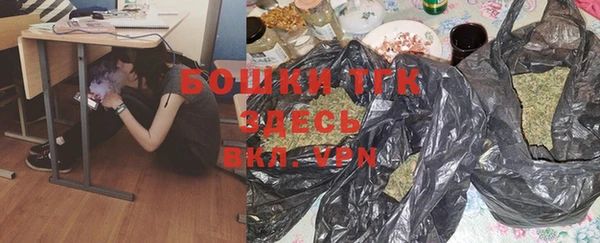 МДПВ Гусев