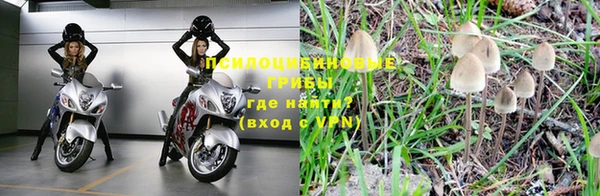 jwh Гусиноозёрск