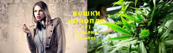 МДПВ Гусев