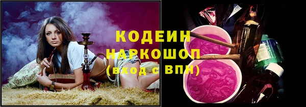 МДПВ Гусев